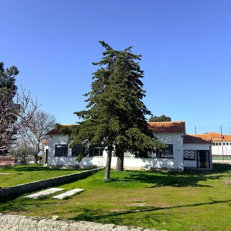 Lagartoca *