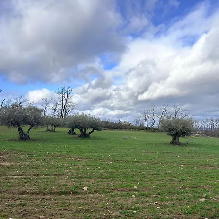 Lagartoca Albergue *